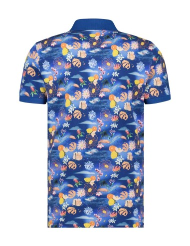 Polo A Fish Named Fred