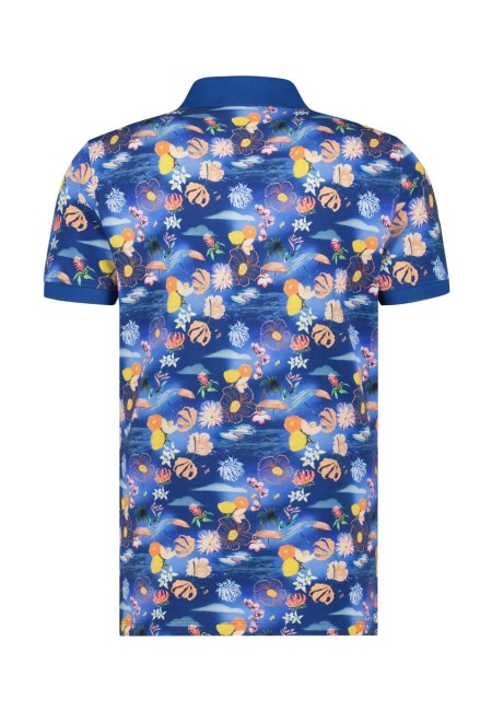 Polo A Fish Named Fred