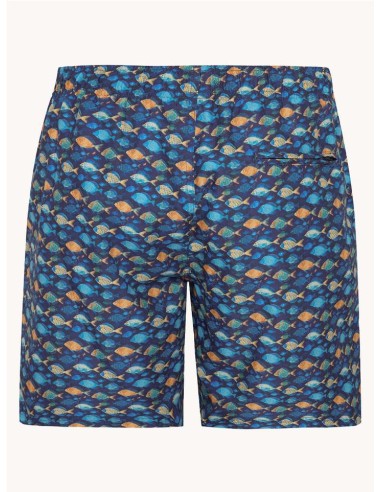 Bañador A Fish Named Fred