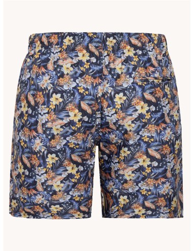 Bañador A Fish Named Fred