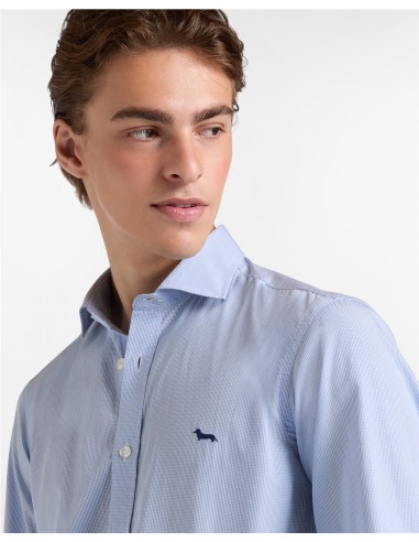 Camisa Harmont & Blaine