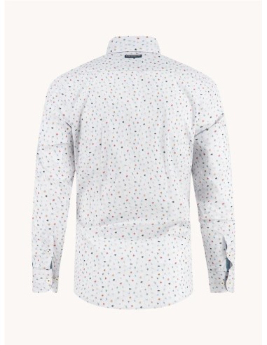 Camisa A Fish Named Fred