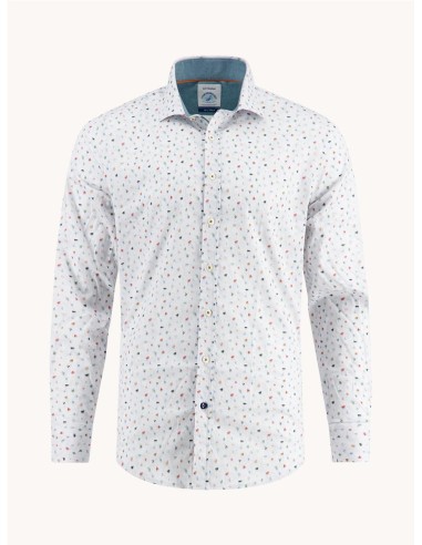 Camisa A Fish Named Fred