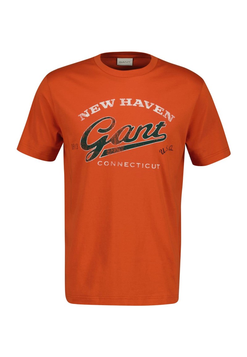 Camiseta Gant
