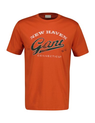 Camiseta Gant