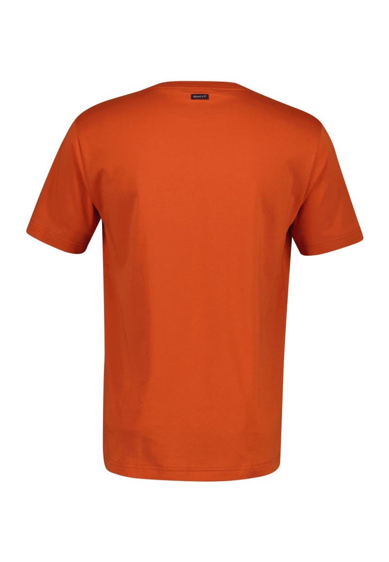 Camiseta Gant 2