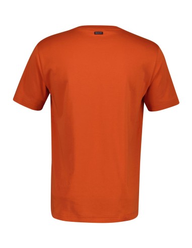Camiseta Gant