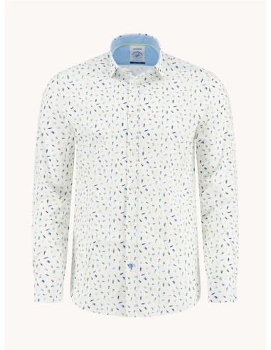 Camisa A Fish Named Fred