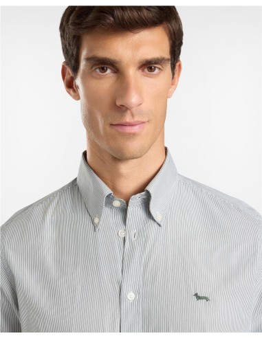 Camisa Harmont & Blaine