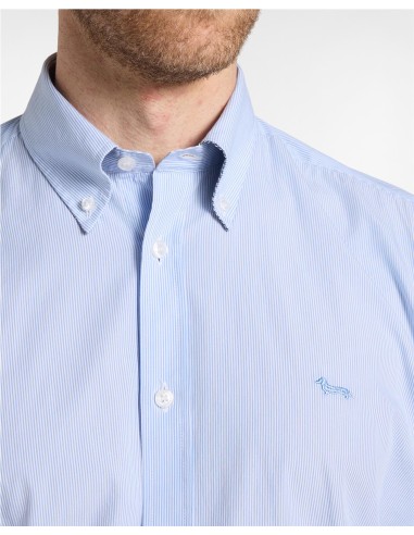 Camisa Harmont & Blaine